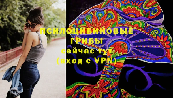тгк Михайловск