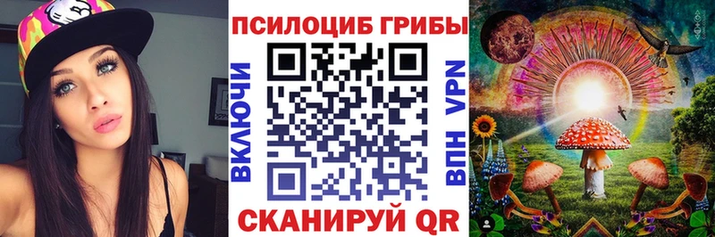 Псилоцибиновые грибы GOLDEN TEACHER  Нерчинск 